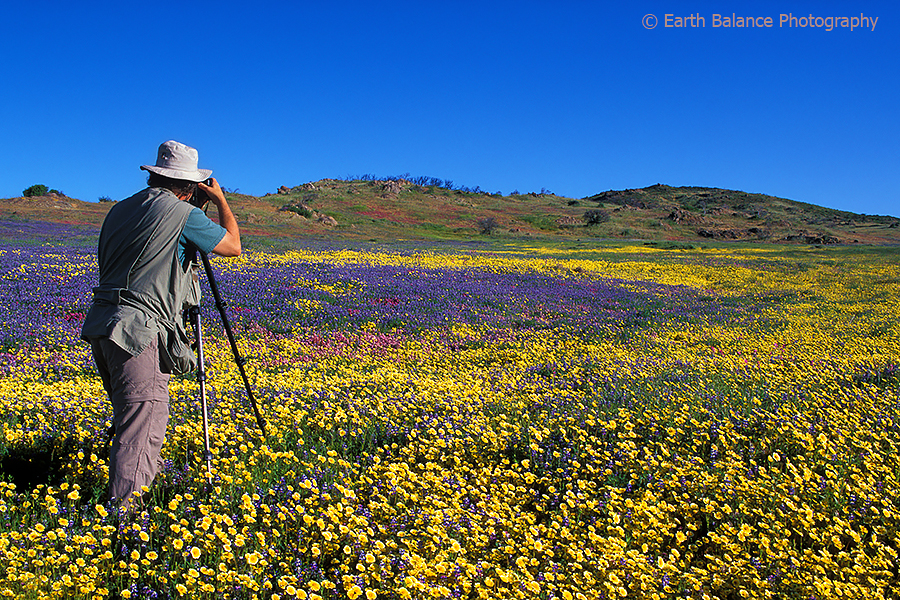 Photographer